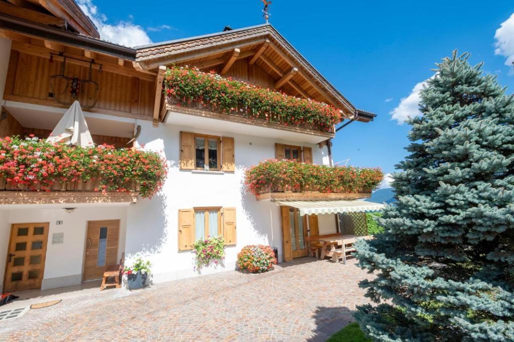 Appartamento Mansarda Patrizia E Franco Val Di Sole Commezzadura Zewnętrze zdjęcie