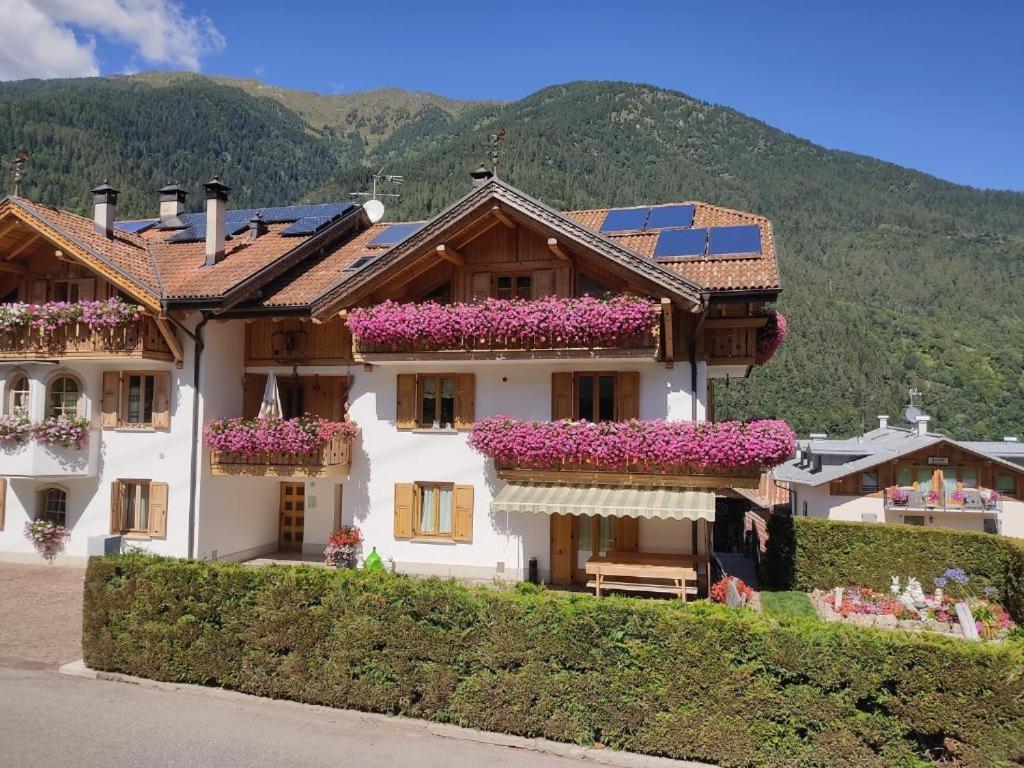 Appartamento Mansarda Patrizia E Franco Val Di Sole Commezzadura Zewnętrze zdjęcie